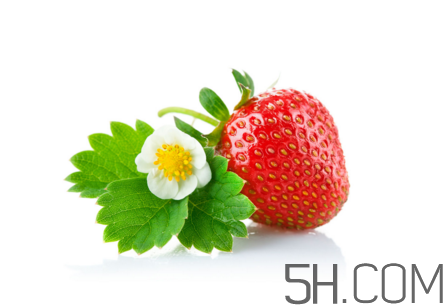 吃了發(fā)霉的草莓怎么辦？怎樣挑選草莓？