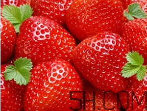 草莓都有哪些熱門品種？草莓怎么放不容易壞？