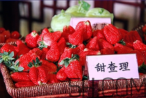 草莓都有哪些熱門品種？草莓怎么放不容易壞？