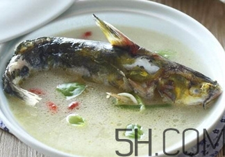 黃骨魚和鯽魚哪個(gè)好？黃骨魚和鯽魚的營(yíng)養(yǎng)價(jià)值