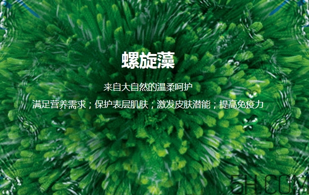 lantern蘭亭是什么牌子？蘭亭是哪個(gè)國(guó)家的什么檔次
