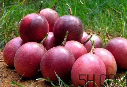 百香果幾月份的最好吃？百香果一次可以吃幾個(gè)？