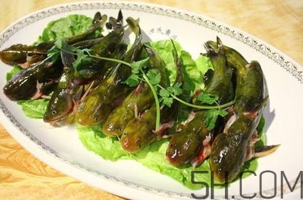黃骨魚和鯽魚哪個(gè)好？黃骨魚和鯽魚的營(yíng)養(yǎng)價(jià)值