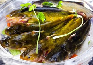 黃骨魚是發(fā)物嗎？黃骨魚是什么魚？