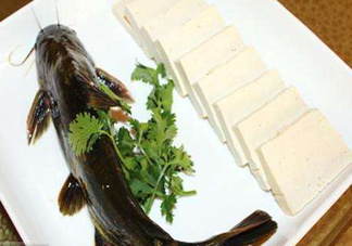 黃骨魚有刺嗎？黃骨魚有毒嗎？