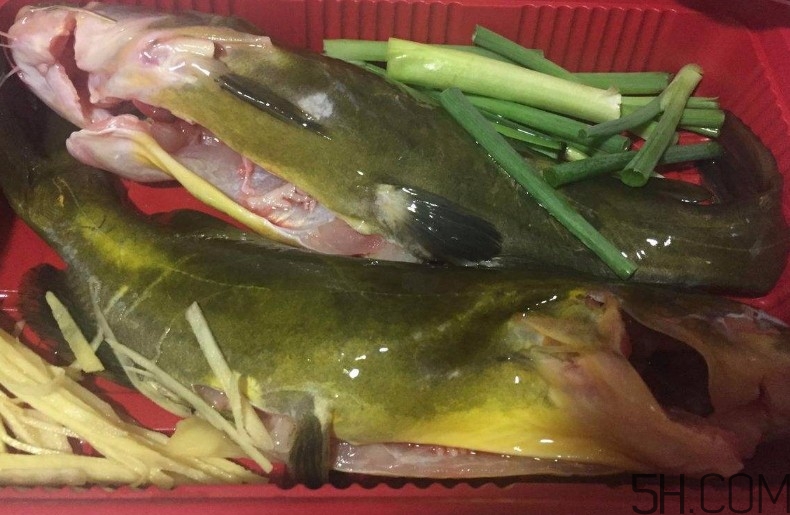 黃骨魚(yú)湯下奶嗎？黃骨魚(yú)湯的做法 