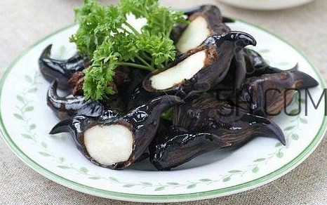 菱角好吃嗎？菱角長在什么地方