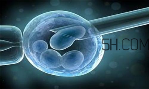 人工授精取卵子怎么??？人工授精男人怎樣取精？