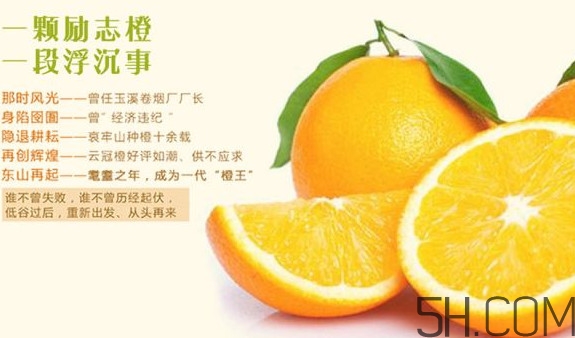 褚橙多少錢一斤？褚橙為什么這么貴