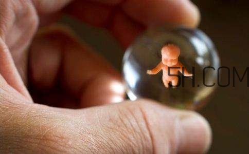 人工授精取卵子怎么?。咳斯な诰腥嗽鯓尤【?？