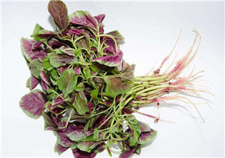 莧菜是酸性還是堿性？吃莧菜有什么好處？