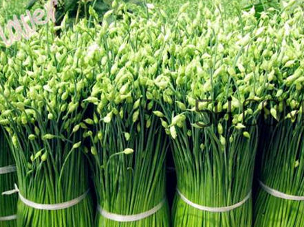 來(lái)月經(jīng)可以吃韭菜嗎？韭菜花的腌制方法