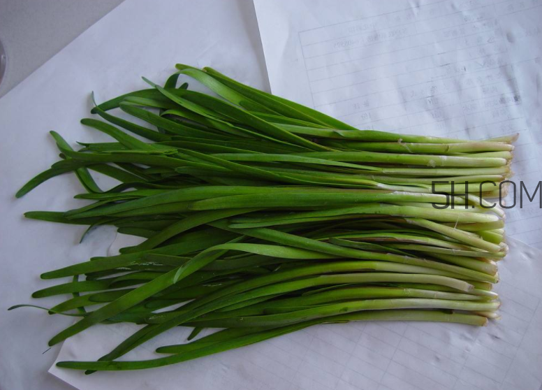 韭菜怎么保存？韭菜傷胃嗎？