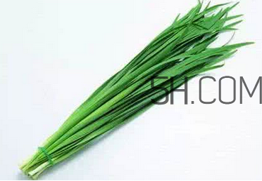 立秋后可以種韭菜嗎？怎樣種韭菜？