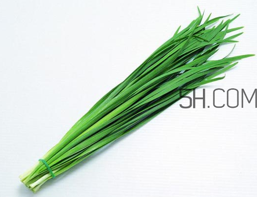 秋天吃韭菜好嗎？韭菜和莧菜能一起吃嗎？