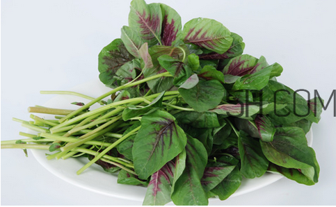 莧菜為什么是紅的？莧菜是涼性的嗎？
