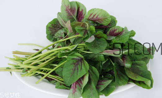 上火能吃咸莧菜嗎？寶寶能吃莧菜嗎？