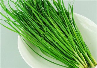 立秋后可以種韭菜嗎？怎樣種韭菜？