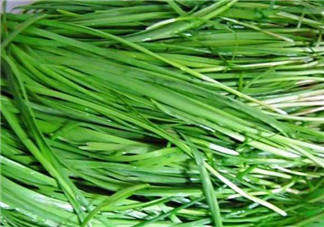 秋天吃韭菜好嗎？韭菜和莧菜能一起吃嗎？
