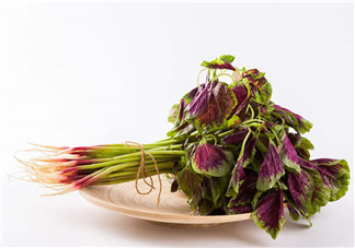 莧菜為什么是紅的？莧菜是涼性的嗎？