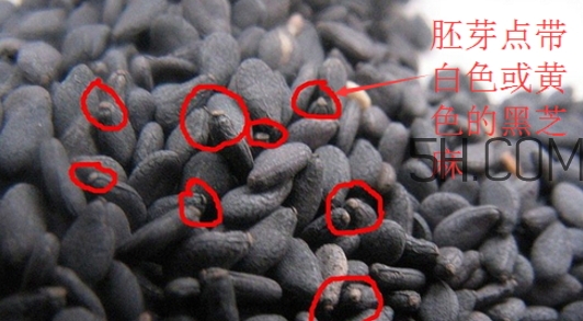 黑芝麻清洗掉色正常嗎？黑芝麻有黑色素嗎？