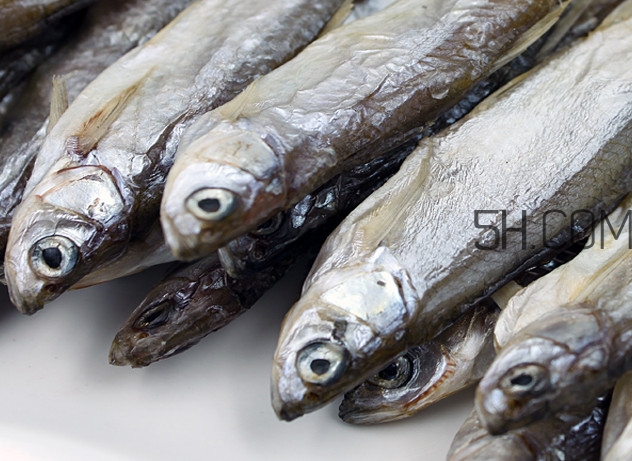 刁子魚是淡水魚嗎？刁子魚怎么釣