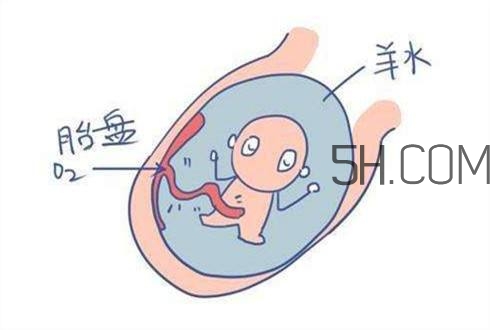 怎么防止羊水早破？羊水早破的危害