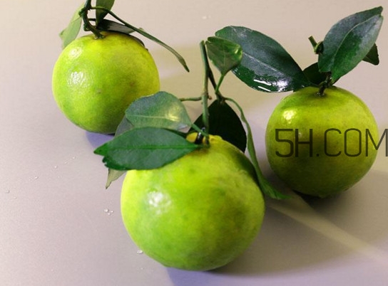 皇帝柑什么時(shí)候成熟？皇帝柑什么人不能吃