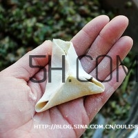 餃子和面用熱水還是冷水？餃子和面要醒多長時間？