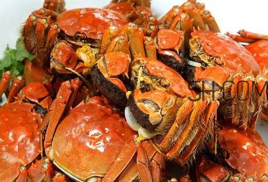 孕婦吃螃蟹多久流產(chǎn)？孕婦吃多少螃蟹會(huì)流產(chǎn)？