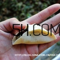 怎么包餃子快又好看？十種家常包餃子的方法~