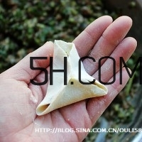 怎么包餃子快又好看？十種家常包餃子的方法~
