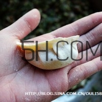 餃子和面用熱水還是冷水？餃子和面要醒多長時間？