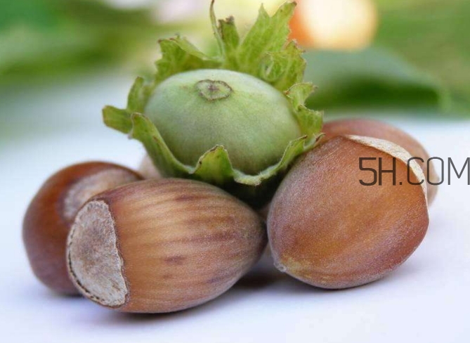 榛子生吃好還是熟吃好？榛子怎么吃營養(yǎng)價值高？