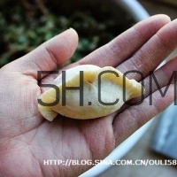 餃子和面用熱水還是冷水？餃子和面要醒多長時間？