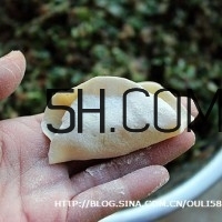 怎么包餃子快又好看？十種家常包餃子的方法~