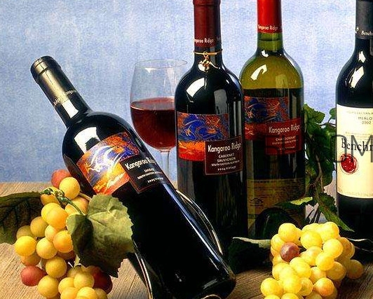 小孩能不能喝葡萄酒？高血糖能不能喝葡萄酒