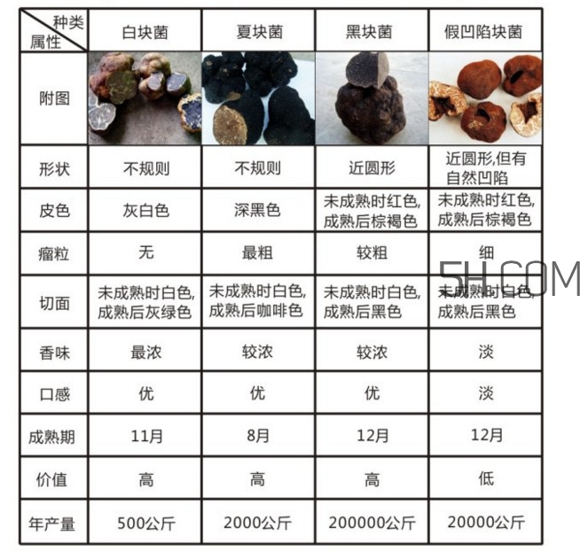 松露怎么分辨真假？松露怎么清洗