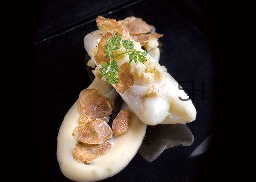 白松露是什么？白松露的功效與作用
