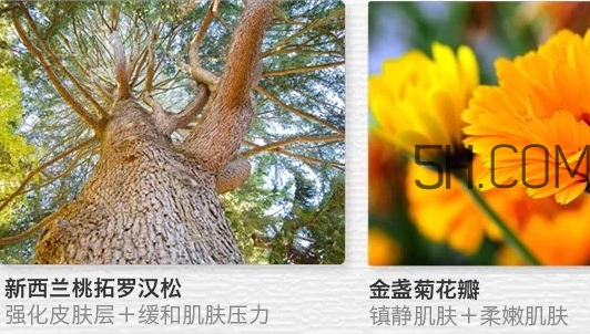 the saem得鮮眼霜適合什么年齡？得鮮眼霜怎么樣？