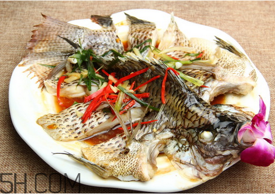 沒有魚刺的魚是哪種魚？如何挑選魚？