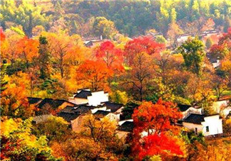秋季滋補養(yǎng)生越補越好嗎？2017年秋天是幾月份？