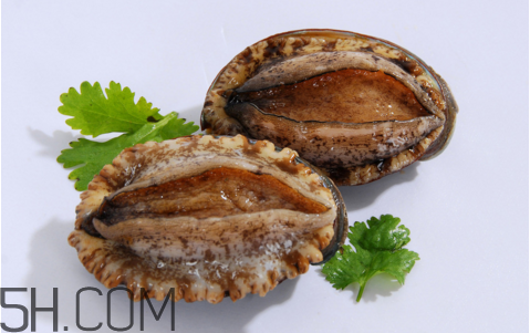 鮑魚(yú)吃了會(huì)上火嗎？鮑魚(yú)是發(fā)物嗎？