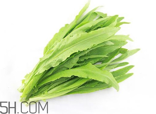 油麥菜是轉(zhuǎn)基因蔬菜嗎？油麥菜是發(fā)物嗎