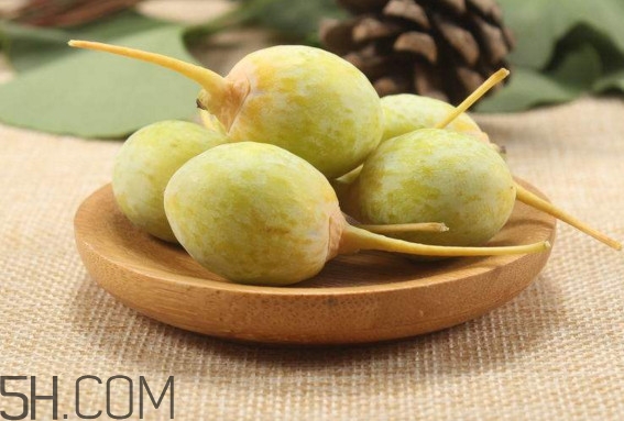白果一天最多吃幾顆？白果什么時(shí)候采摘