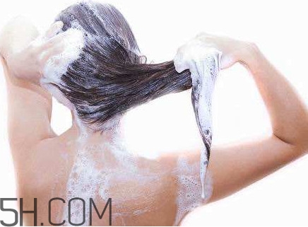 醋洗頭是白醋還是陳醋？用醋洗頭要用洗發(fā)水嗎？