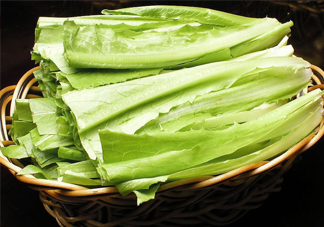 西紅柿和油麥菜能一起吃嗎？油麥菜能包餃子嗎