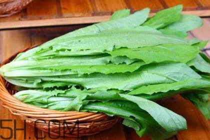 油麥菜是轉(zhuǎn)基因蔬菜嗎？油麥菜是發(fā)物嗎
