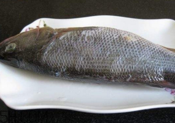 鮭魚是三文魚嗎？鮭魚的營養(yǎng)價值