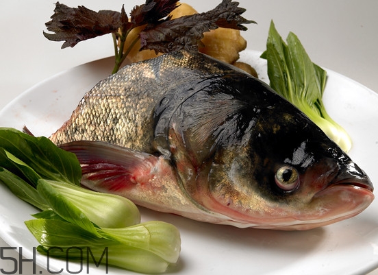 胖頭魚有什么營養(yǎng)？胖頭魚是鰱魚嗎